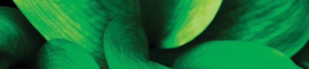 「研究と知見をリードする」見出しイメージ