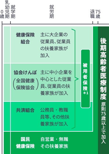 公的医療保険の5つの分類・種類