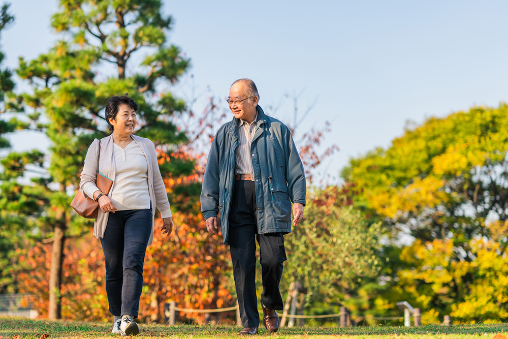 変額保険の特別勘定とは？一般勘定との違いも解説！変額保険の活用方法も