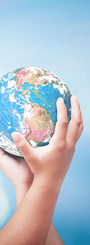 sdgs