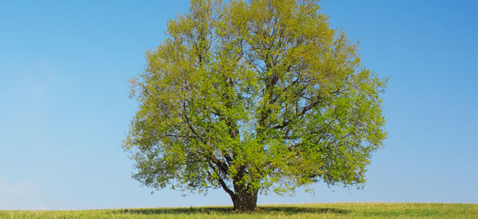 未来を楽しむ終身保険 │ 商品を探す │ マニュライフ生命