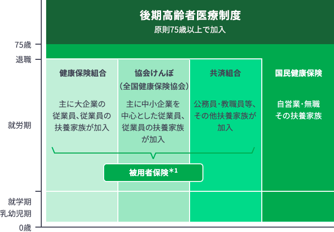 公的医療保険の5つの分類・種類