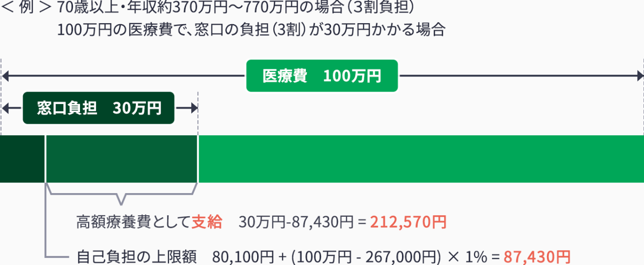 公的医療保険の高額療養費制度の概要
