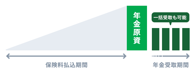 個人年金保険のイメージ図