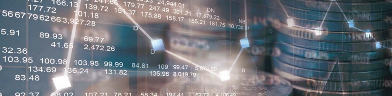 パワー・カレンシー（確定・終身年金タイプ）