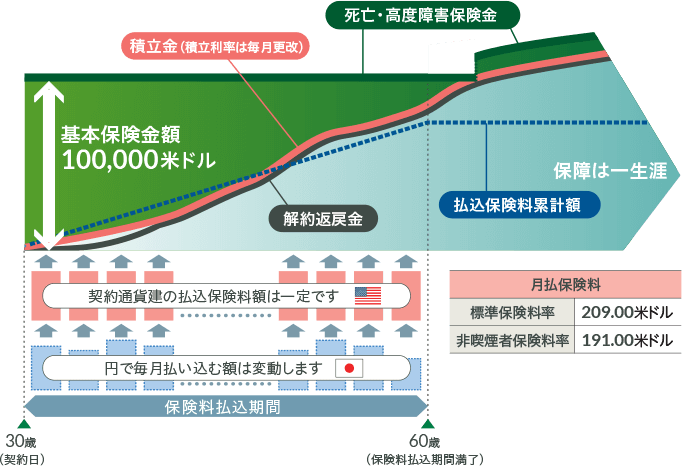 こだわり外貨終身の仕組み