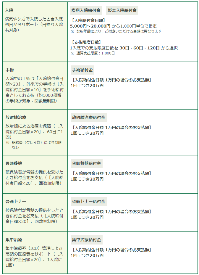 手厚い保障の主契約