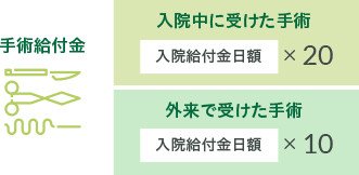メインの保障内容が手厚い（説明図）