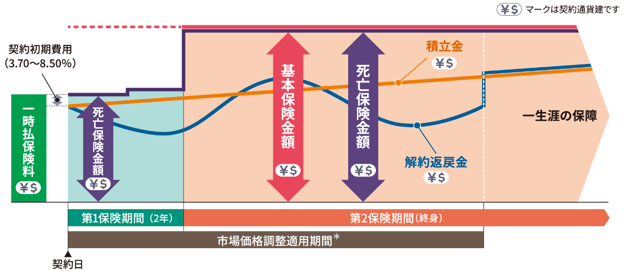 point3 イメージ図  第1保険期間： 2年の場合