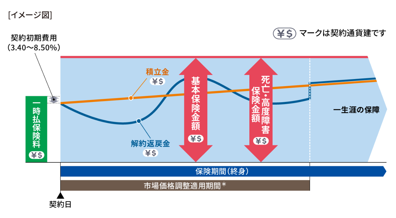 基本コース　告知ありタイプ