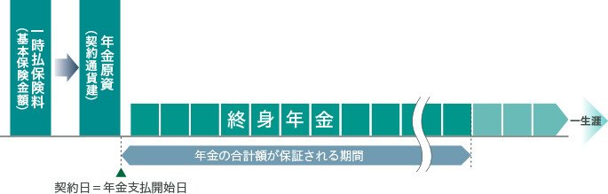 ご契約日の2か月経過後から年金をお支払いします