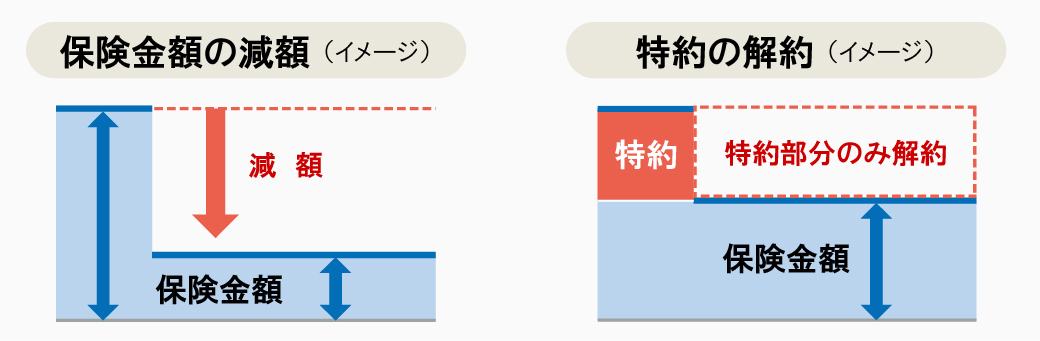 保険金額の減額